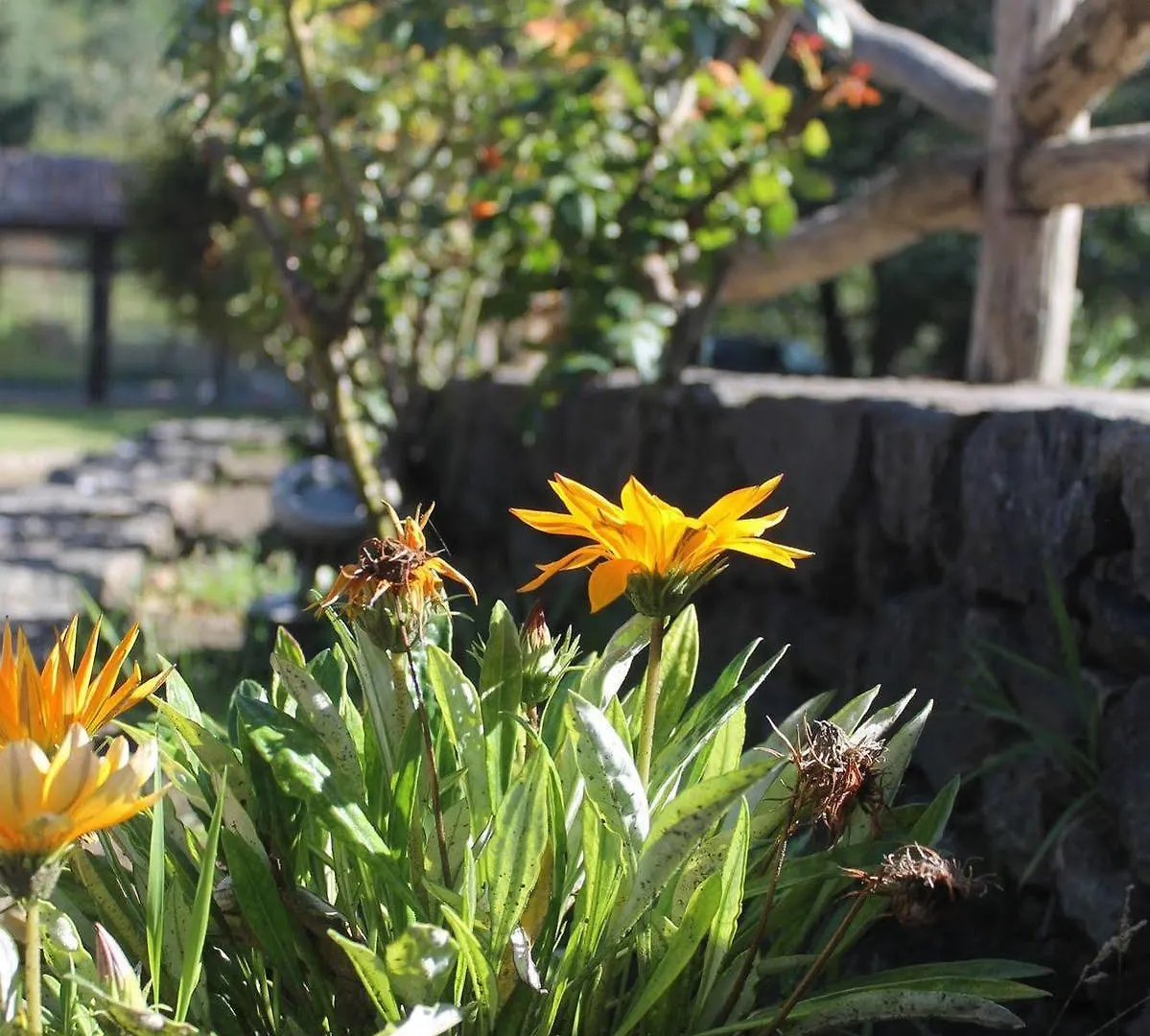 Hotel Le Cisterne Dell'Etna Calcerana-Marina 3*,