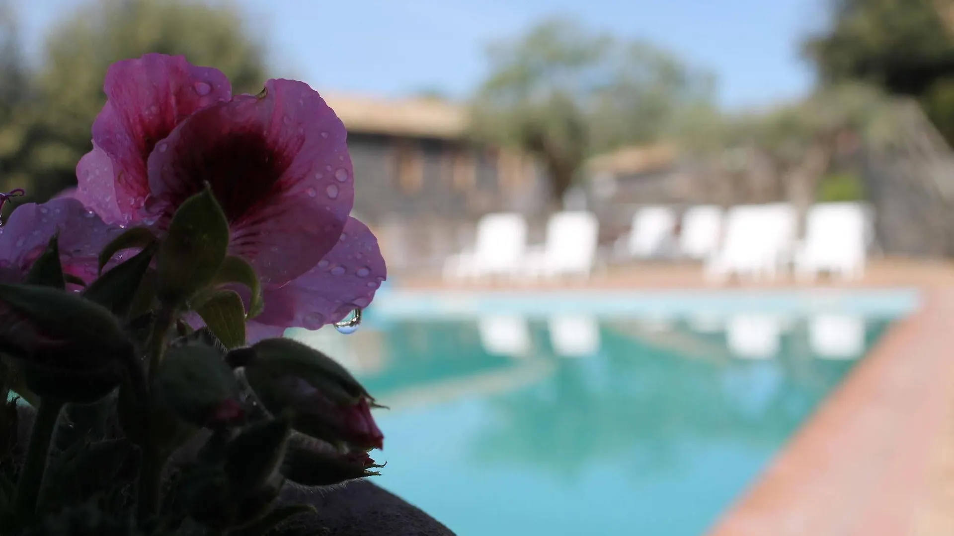 Hotel Le Cisterne Dell'Etna Calcerana-Marina 3*,  Italia